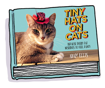 tiny-hats.jpg