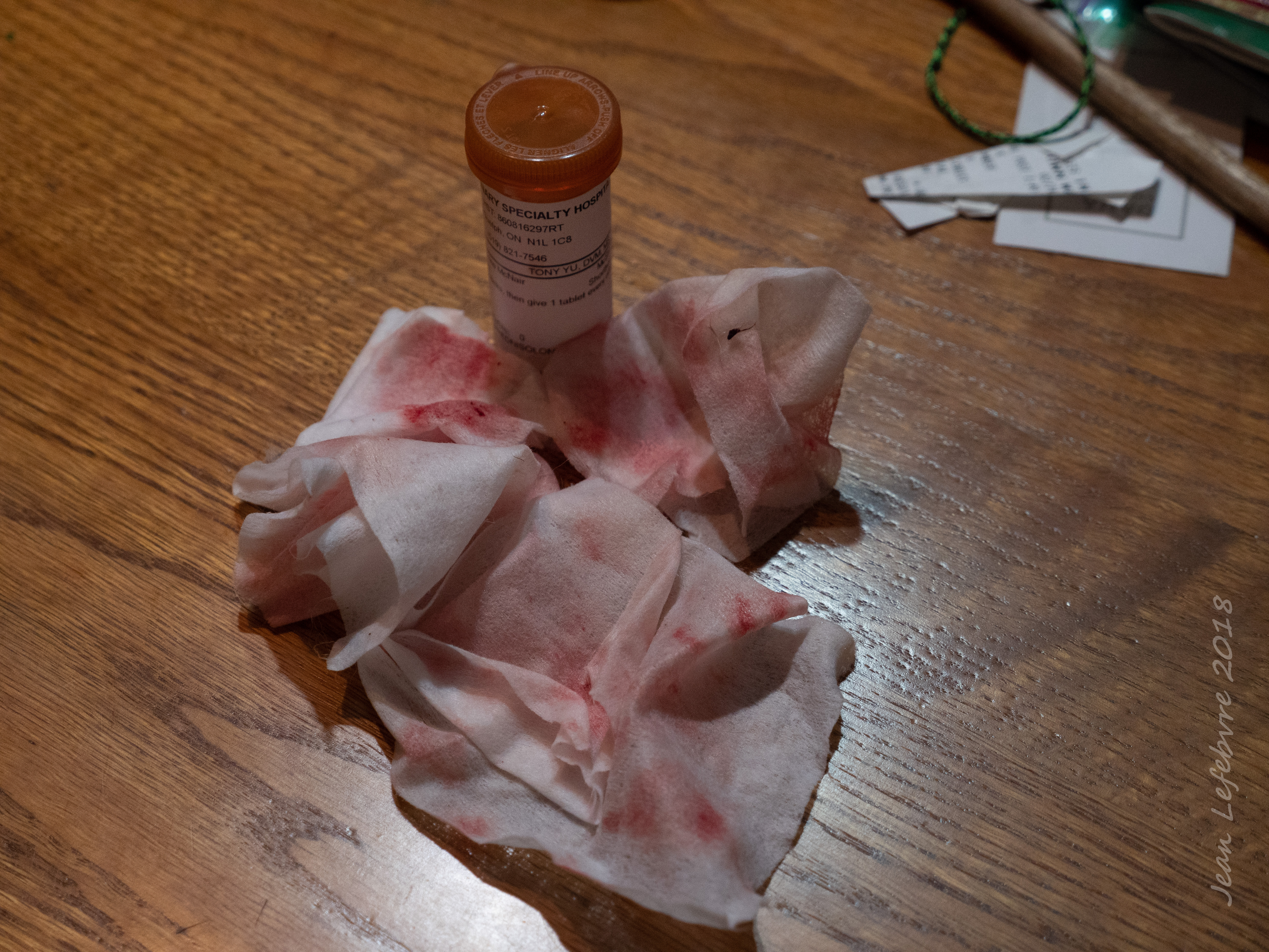 20181105-mcsteamy_mcnair_ear-001of001