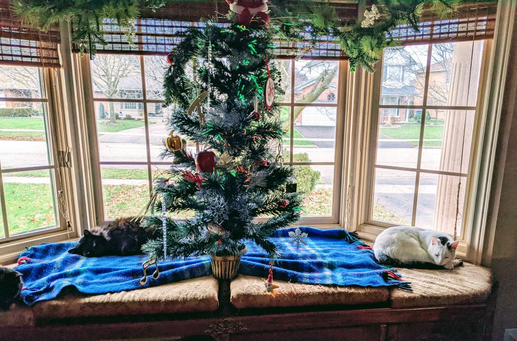 Three cats and tree.