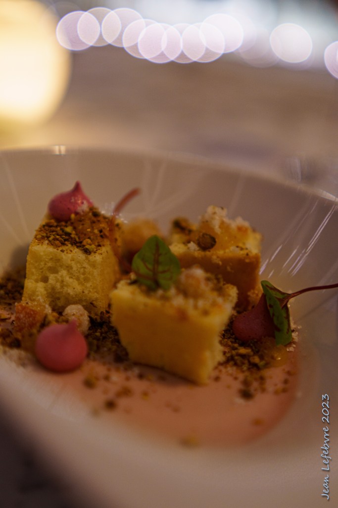 Olive oil cake on raspberry panna cotta