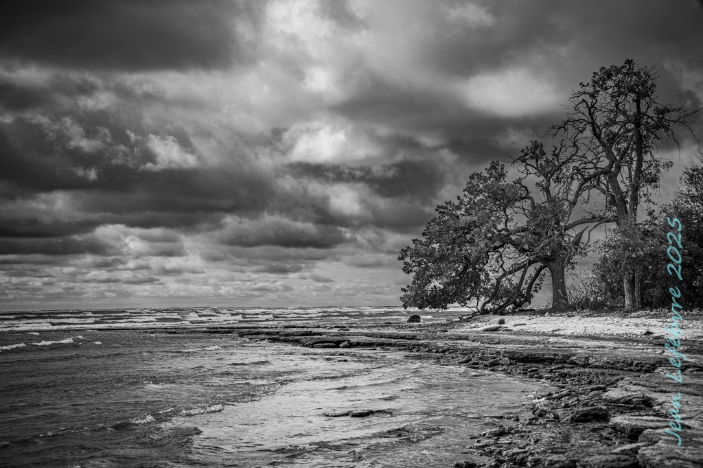A black and white view of a lakefront beach, with a cloudy sky and some trees.